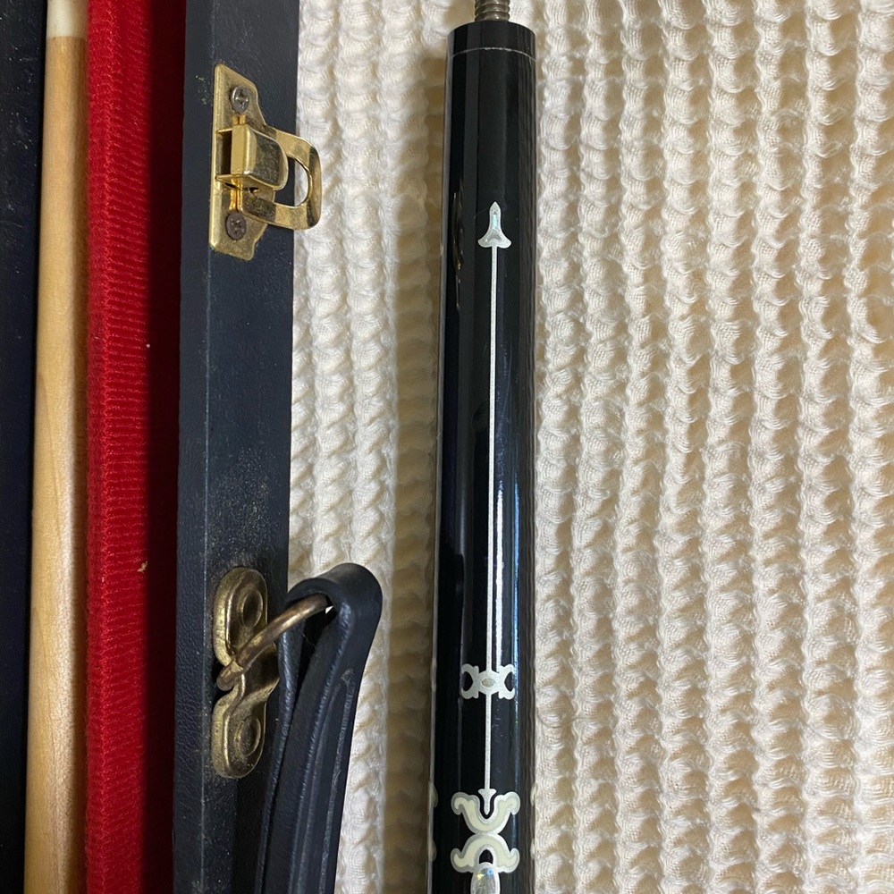 PoolDawg Hard Case and Cue